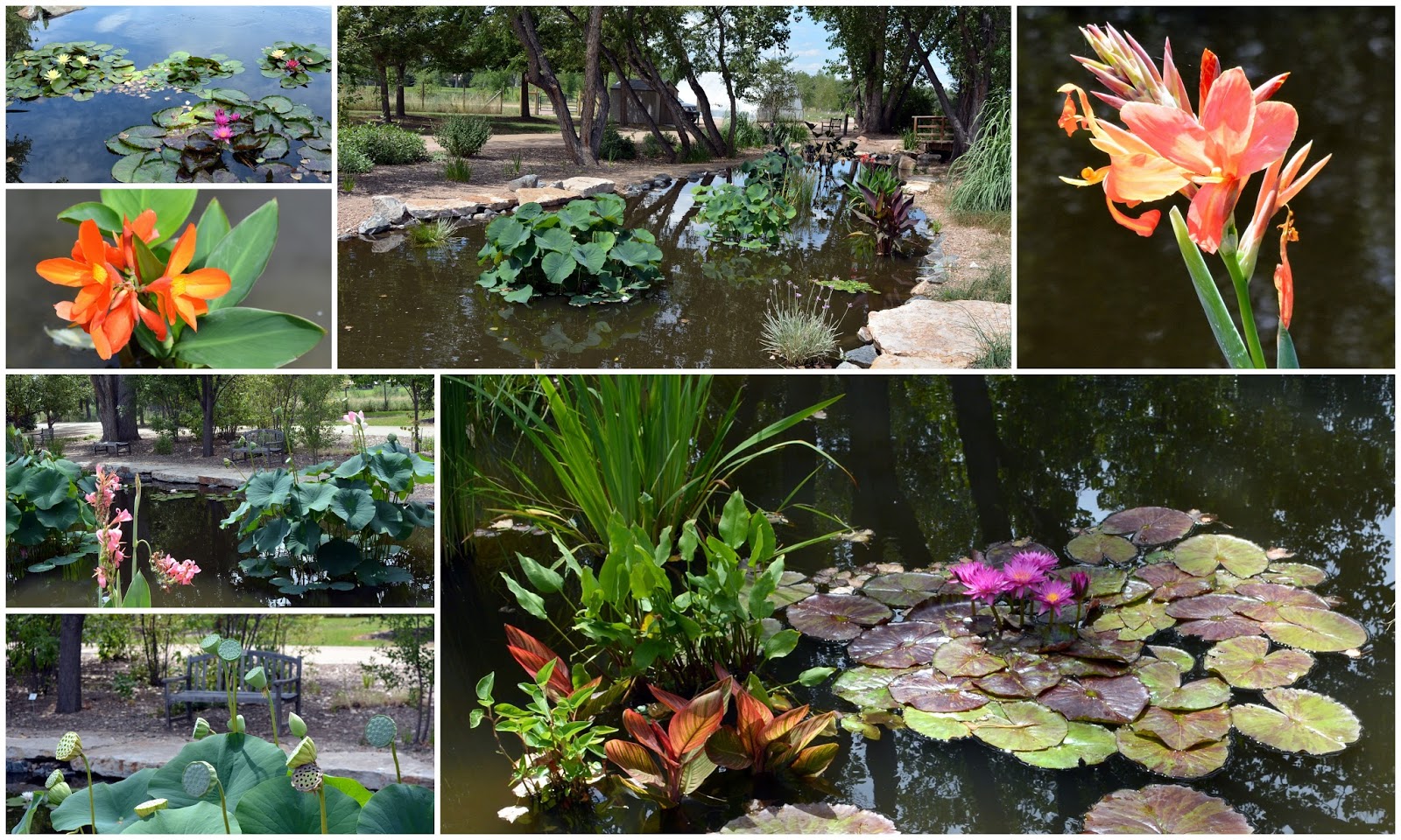 Mille Fiori Favoriti Hudson Gardens and Event Center in Littleton, CO