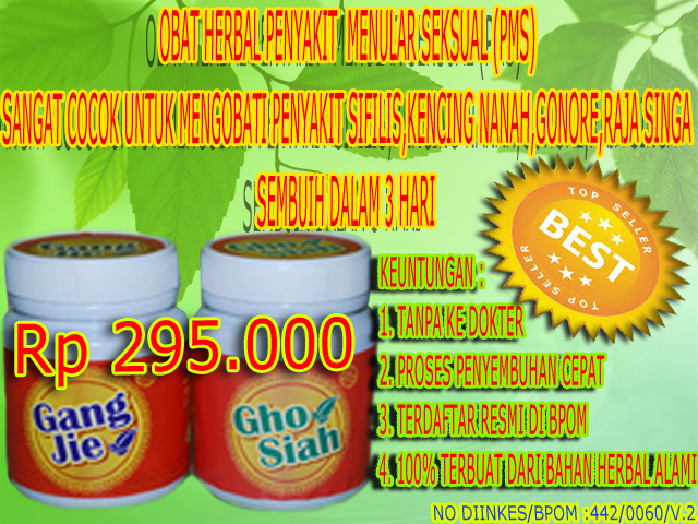 Obat sipilis herbal