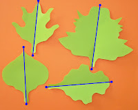 Rainbows to Snowflakes~A Creative Life: SYMMETRY: Balance in Nature