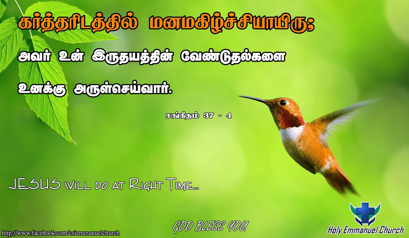 roman catholic tamil bible roman catholic tamil bible