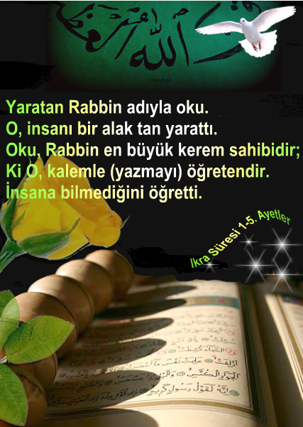 halis din yalnizca allah indir