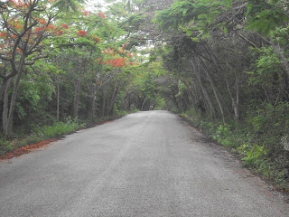 La Naturaleza es Nuestra Aliada