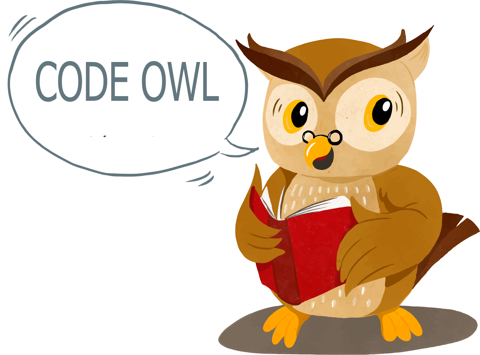 Code owl