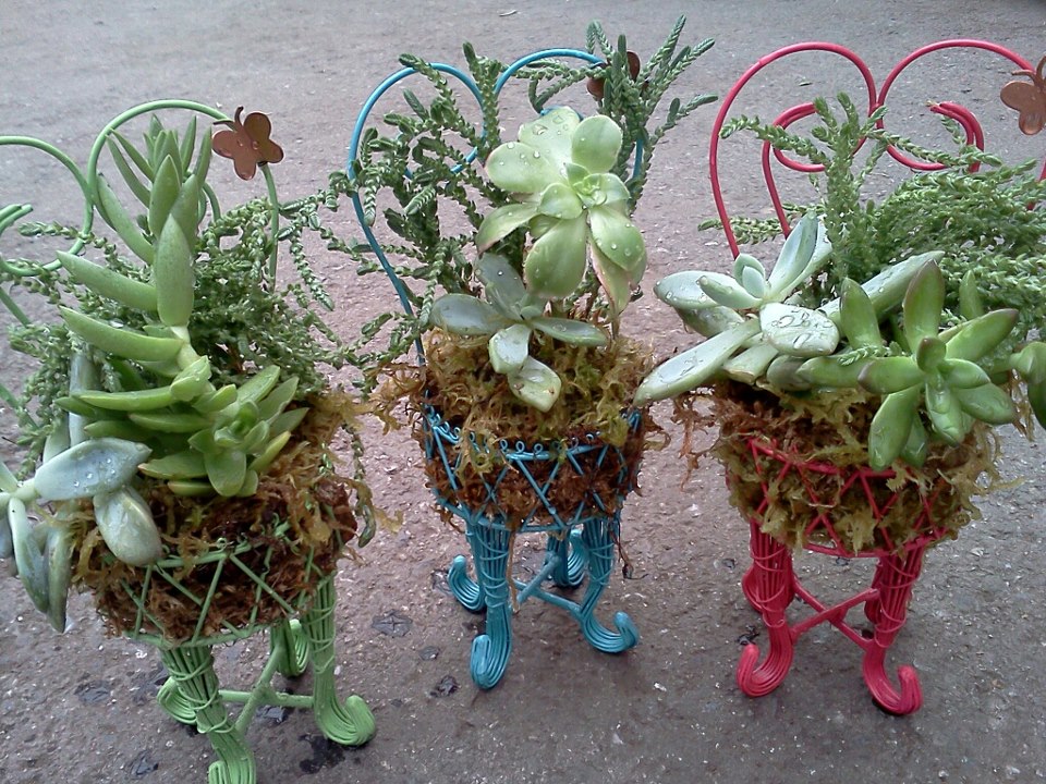Check out these sweet little custom planters at our Sloat Blvd store