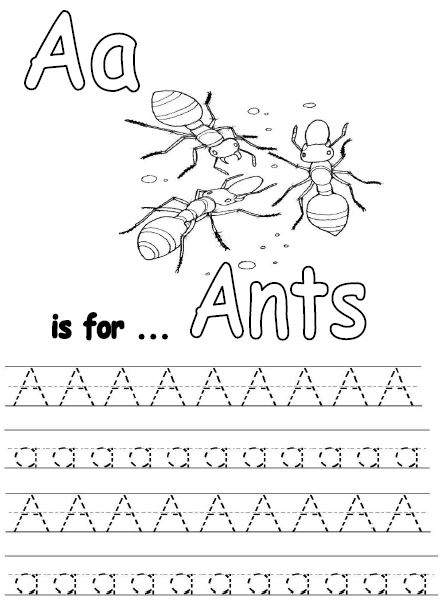 Iman's Home-School: Ants Unit Study