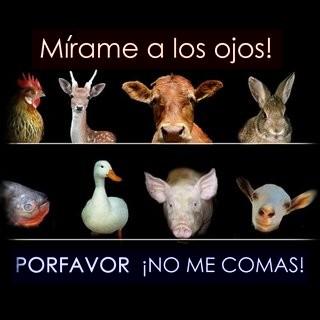 El deseo de vivir no entiende de especies.