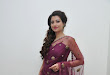 Hamsa Nandini photos from Bengal Tiger audio