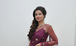 Hamsa Nandini photos from Bengal Tiger audio-thumbnail