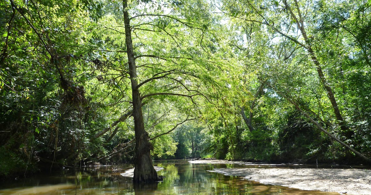 Nature's heart A First Visit To Peach Creek