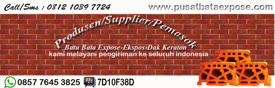 Distributor Bata Expose Bali || HP.0812 1039 7724