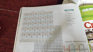 Tapete de Crochê Retangular em Duas Cores