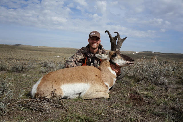antelope+3.jpg
