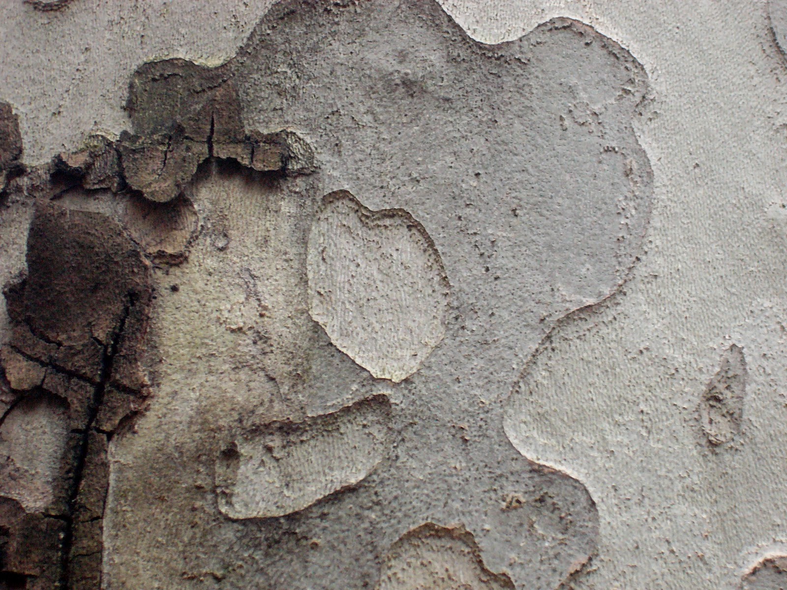 bbonthebrink: February 2011