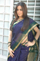 Bollywood and Tollywood acress  hot sexy, Shraddha Arya posing in saree, milky waist, sizzling, spicy, desi girl look, masala pic image collection