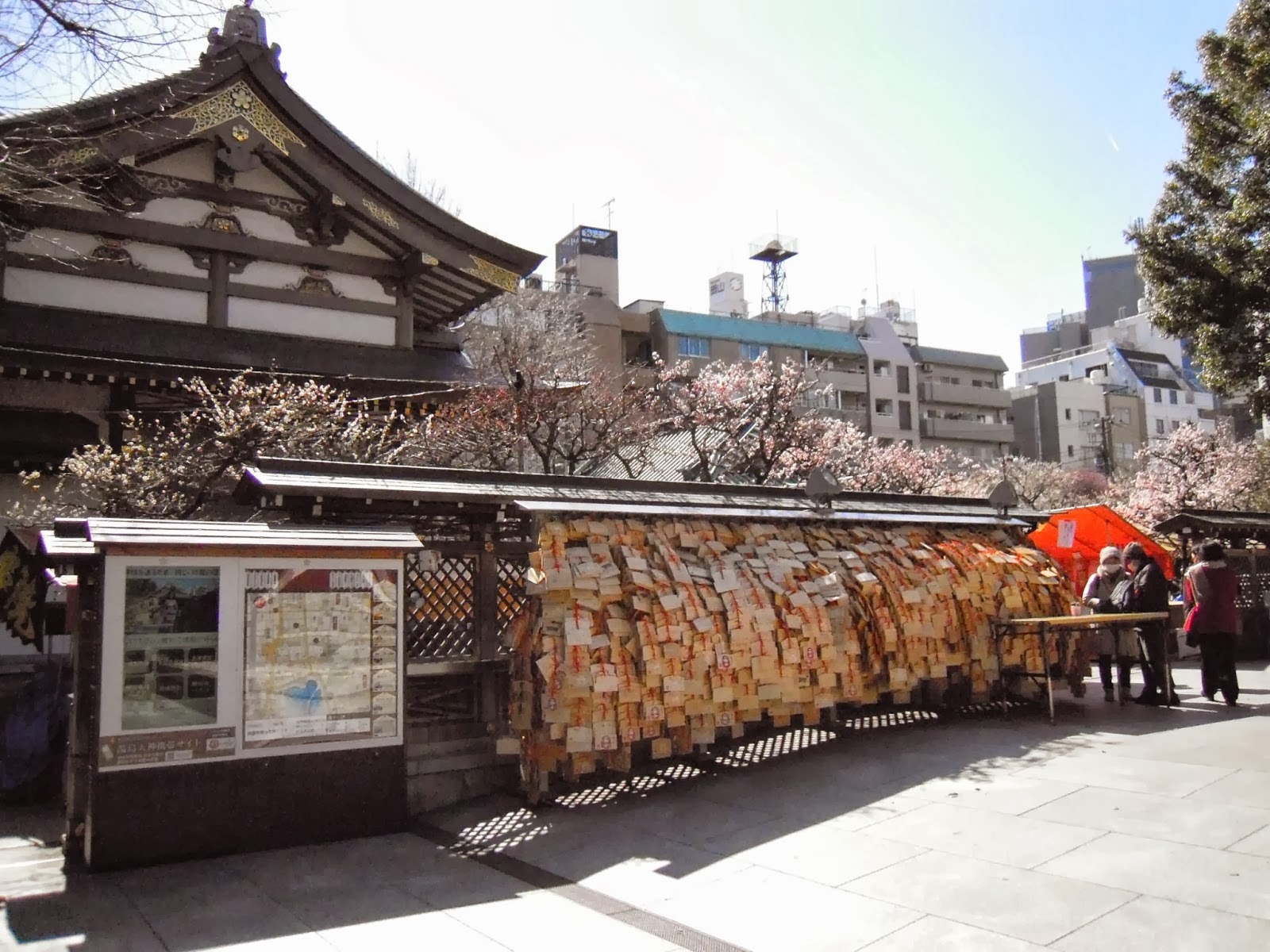 coach classic xi-1122