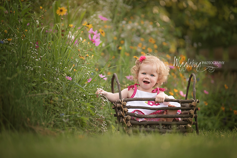 Geneva, IL children's photos with beautiful outdoor light in wildflowers