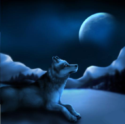 wolf dream
