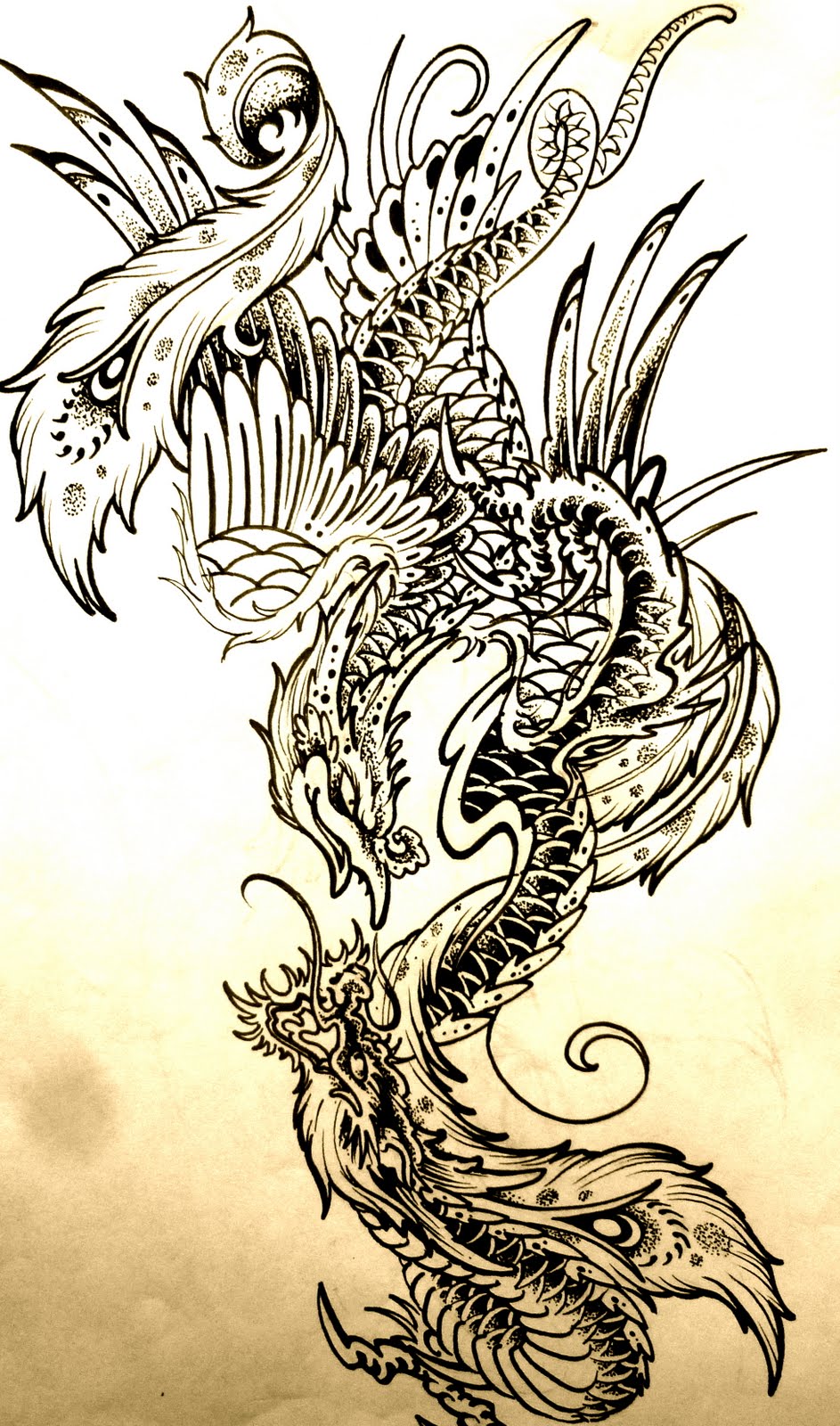Dragon Vs Phoenix