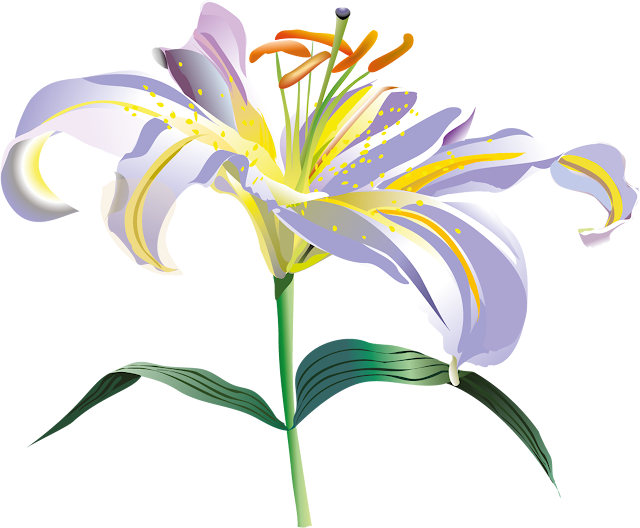 Flores vectoriales con fondo transparente - png | Arte digital