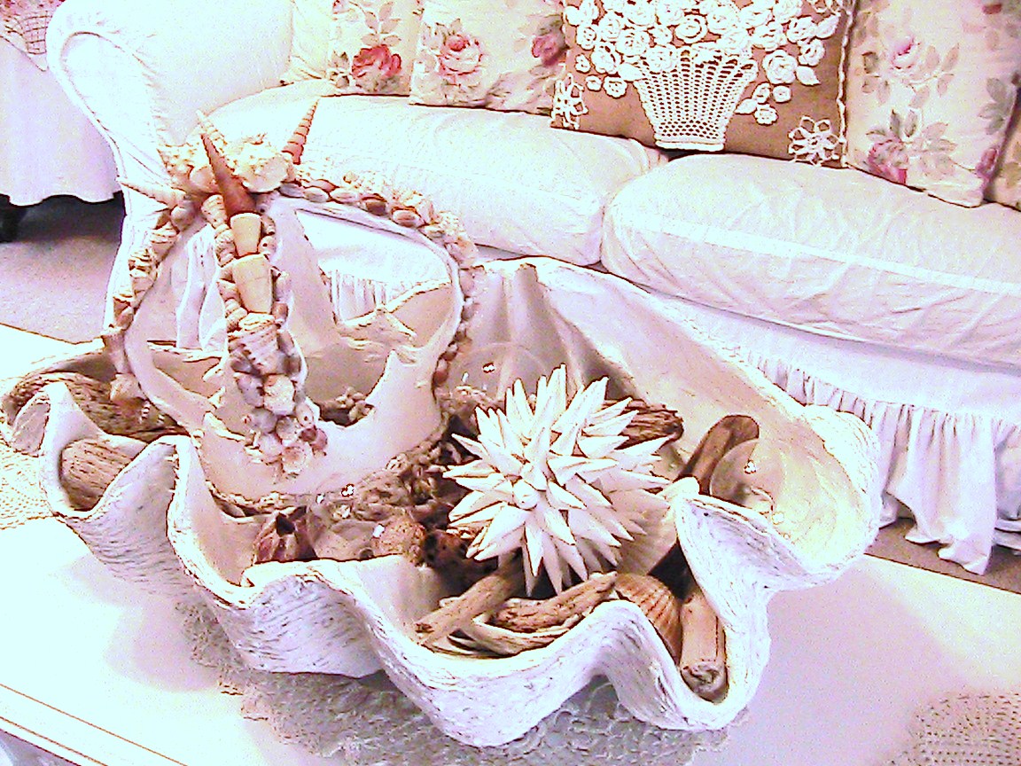 Katty's Cosy Cove Making a Giant Clam Sea Shell