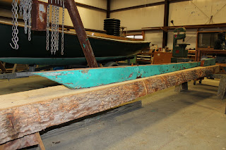 New deadwood Wianno Senior Bettawinn