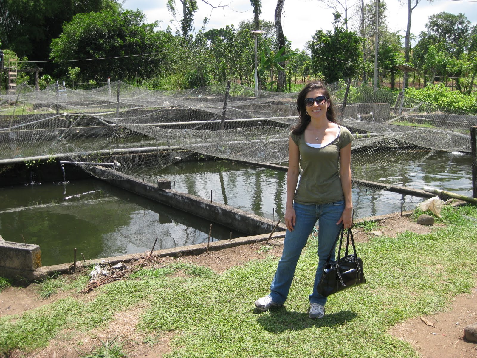 Costa Rica Blogging Tilapia Farming In Costa Rica