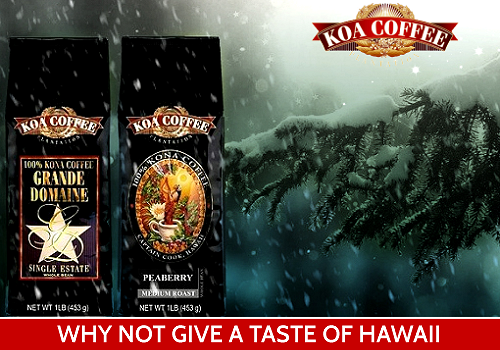 Koa Coffee - Triple Pack only $29.99!