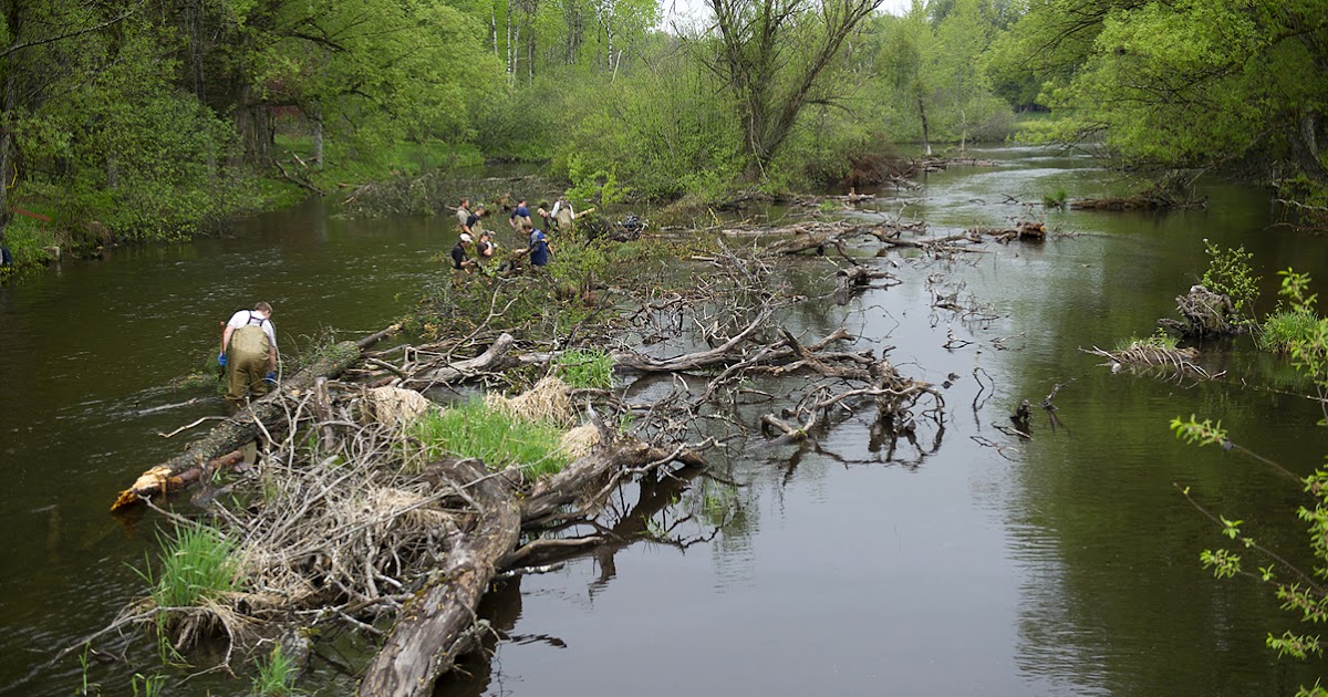 Michigan DNR Improving habitat on the Au Sable River's North Branch