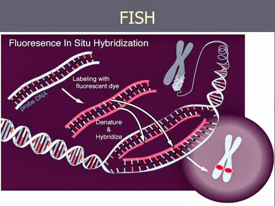 Slide 71
