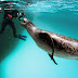 A Photographer Came Face-To-Face With A Vicious Predator. I Still Can’t Believe What Happened Next
