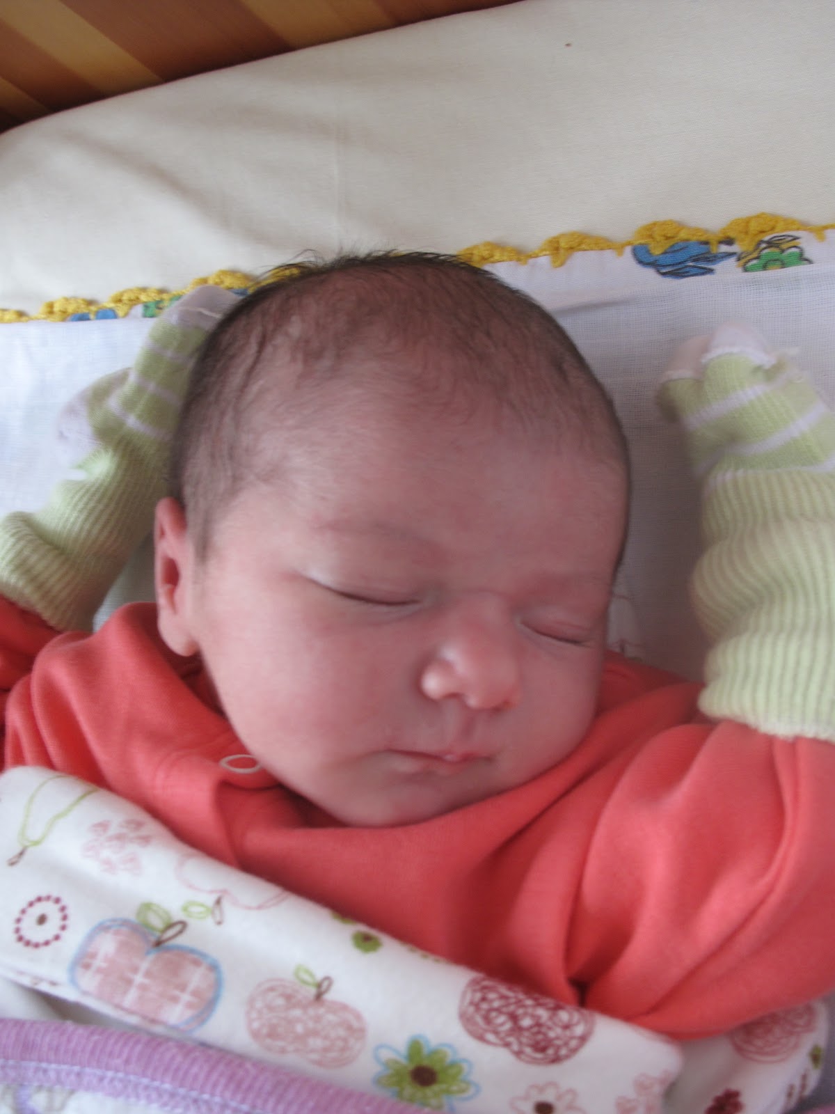 Ben , Sen , O Nasyonel ceyrofik bebekler bölüm 1