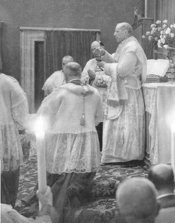 a biography of pius xii a catholic pope At his death on october 9, 1958, pope pius xii enjoyed worldwide acclaim arose from a single motive: the desire to remove catholic clergy from party politics. a biography of pius xii a catholic pope At his death on october 9, 1958, pope pius xii enjoyed worldwide acclaim arose from a single motive: the desire to remove catholic clergy from party politics.