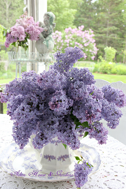 Aiken House & Gardens: It's Lilac Season in our Garden