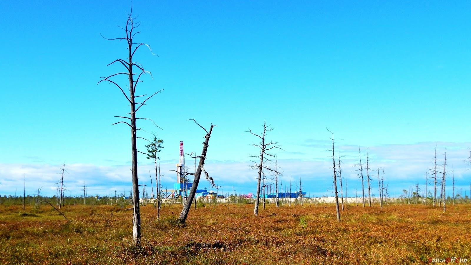Пейзаж на нефтяном месторождении