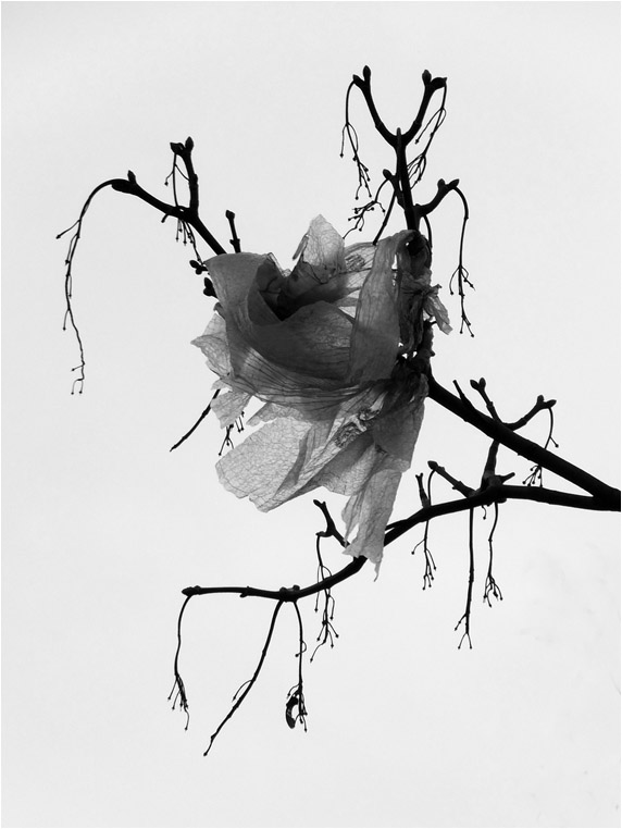 emphoka, photo of the day, Neil Johansson, Fujifilm FinePix F770EXR emphoka, photo of the day, Neil Johansson, Fujifilm FinePix F770EXR