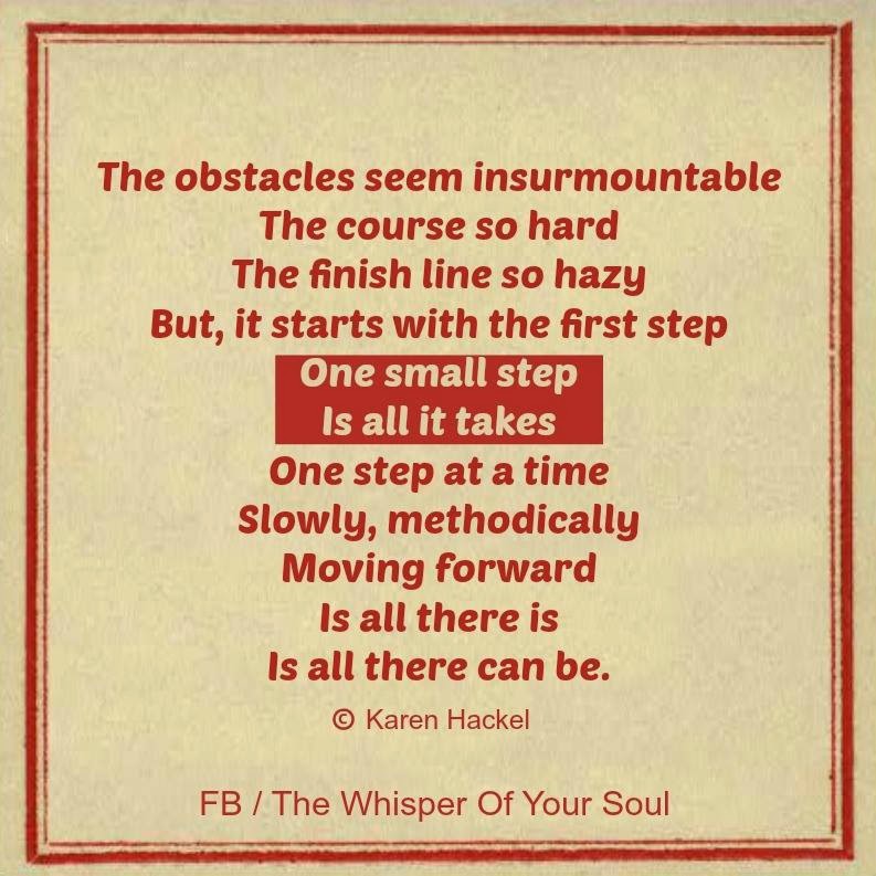 THE OBSTACLES SEEM INSURMOUNTABLE THE COURSE SO HARD THE FINISH LINE SO