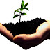 Modos de pensar o desenvolvimento sustentável