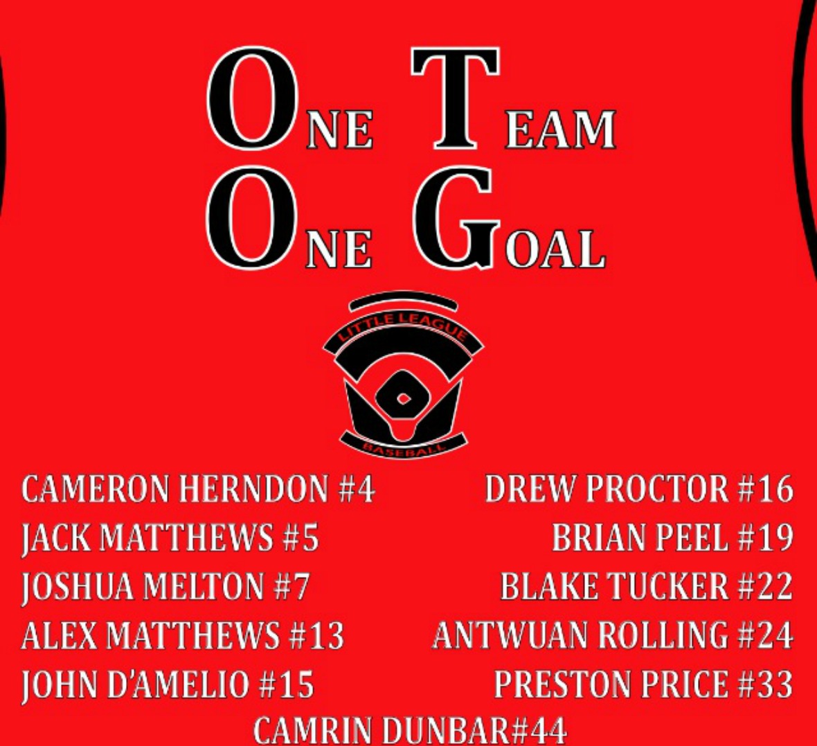 One Team One Goal