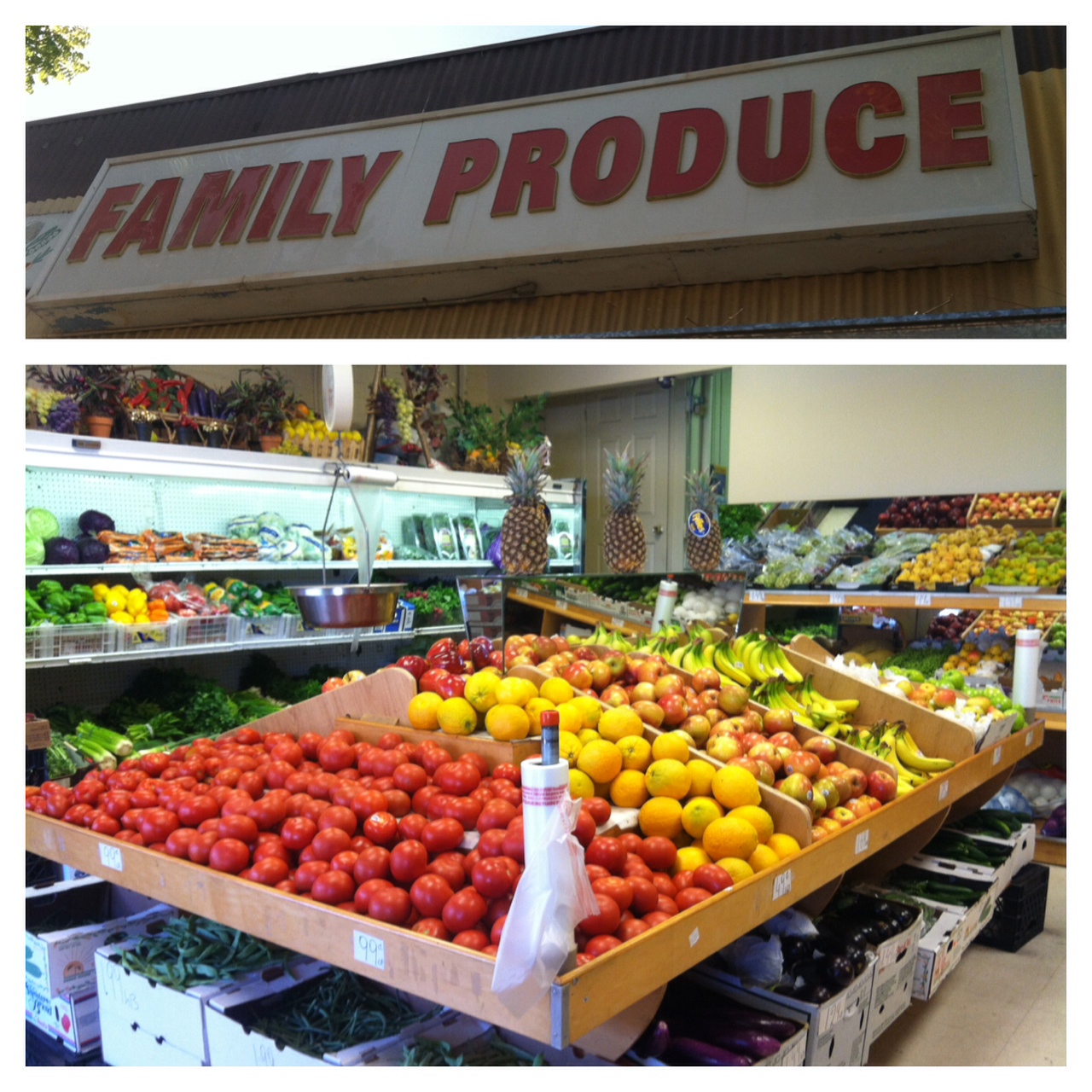 Love Fit Life Treasure Hunting Produce Edition