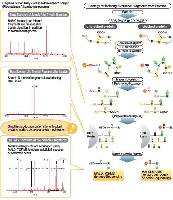 BioResource Protein Characterization Methods & Techniques