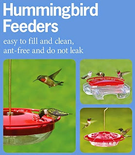 wild birds unlimited keep mold away from hummingbird feeders wild birds unlimited keep mold away from hummingbird feeders