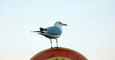 Wayne Geiger : Fun Facts for Monday, January 6, 2014