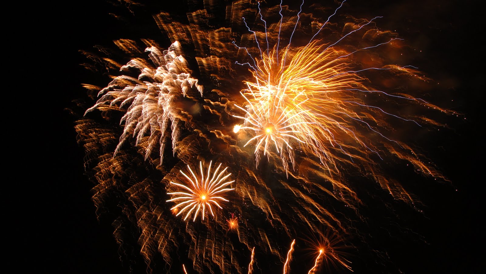 Creative Crone from studio Q: June 2011