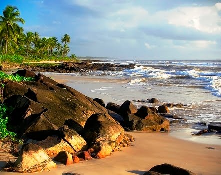 From Brazil to the World: Back Door Beach
