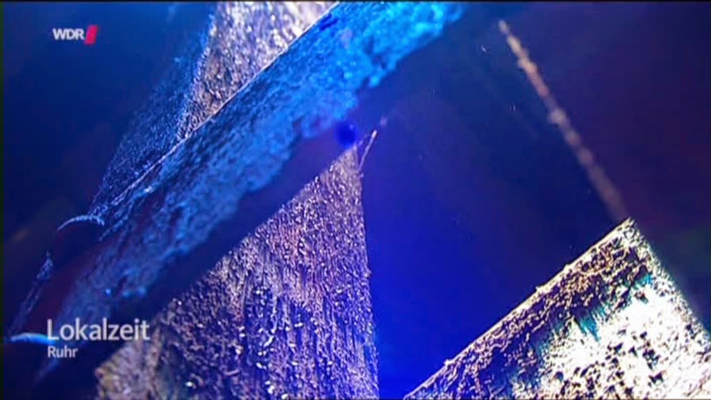 Anfahrt Und Tickets Expo Plaza Festival 2021 Hannover Verkehr De