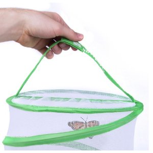 backyard safari adventures butterfly habitat