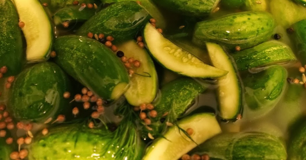 Jarhead Pickling Blog Dill Pickles featuring Kirby Cucumbers