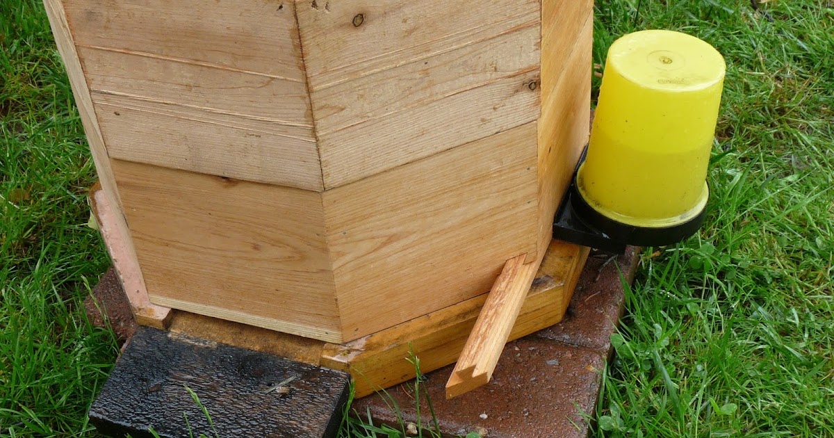 Pete's Bees, A Feral Hive Recovery Entrance feeder