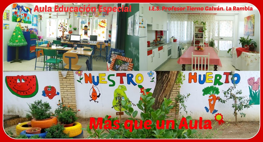     MÁS QUE UN AULA