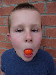 gimp shot orange gobstopper sweet candy